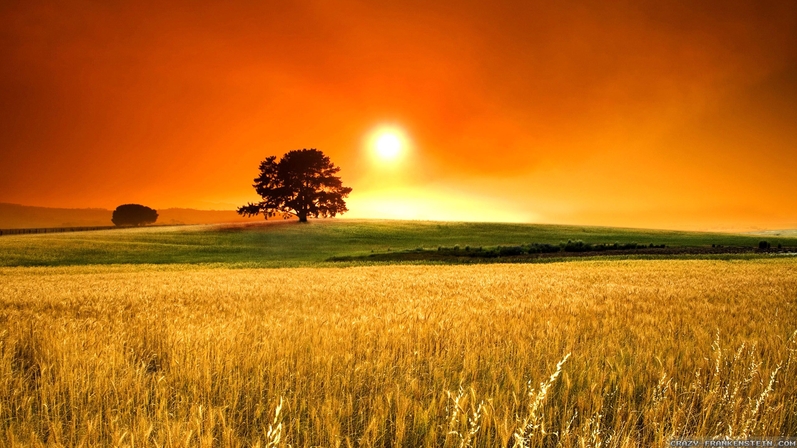 Awesome Hot Summer Background