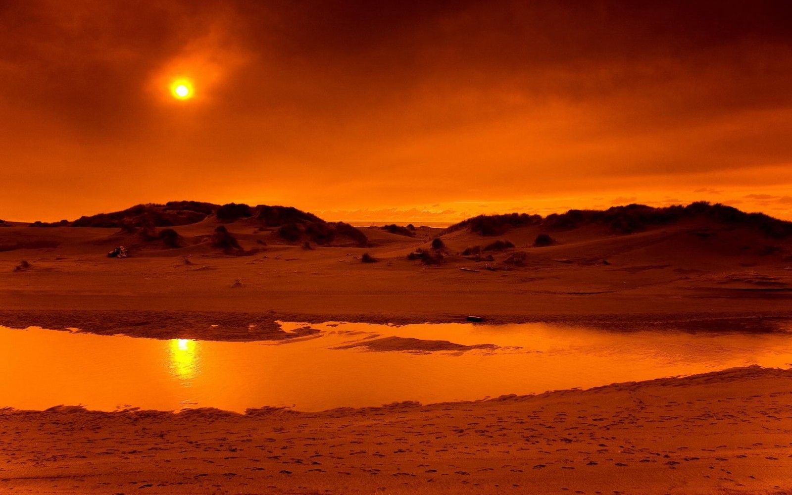 Wallpaper, desert, oasis, heat, hot, orange, Sun 1680x1050