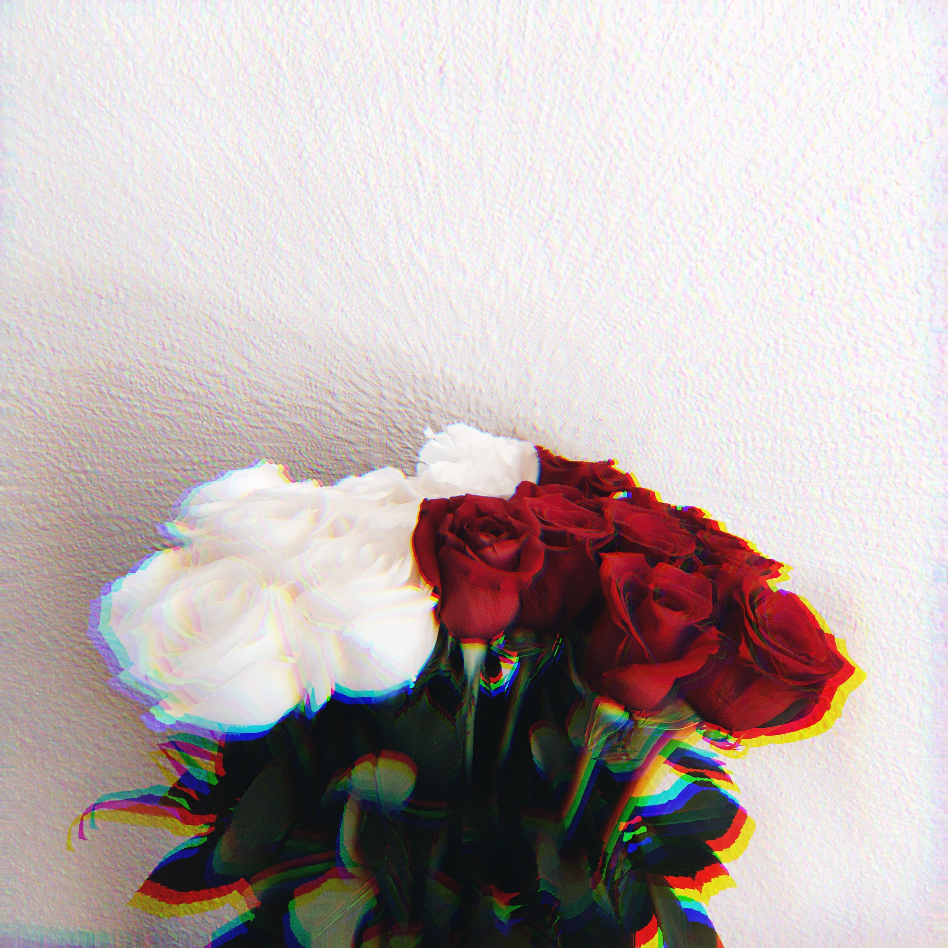 Aesthetic Wallpaper Black with Rose