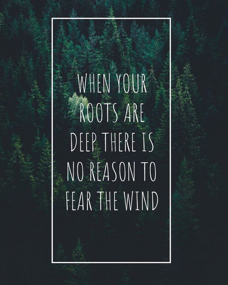 Chill vibe quotes tumblr Aesthetic chill vibes wallpaper top free aesthetic chill vibes