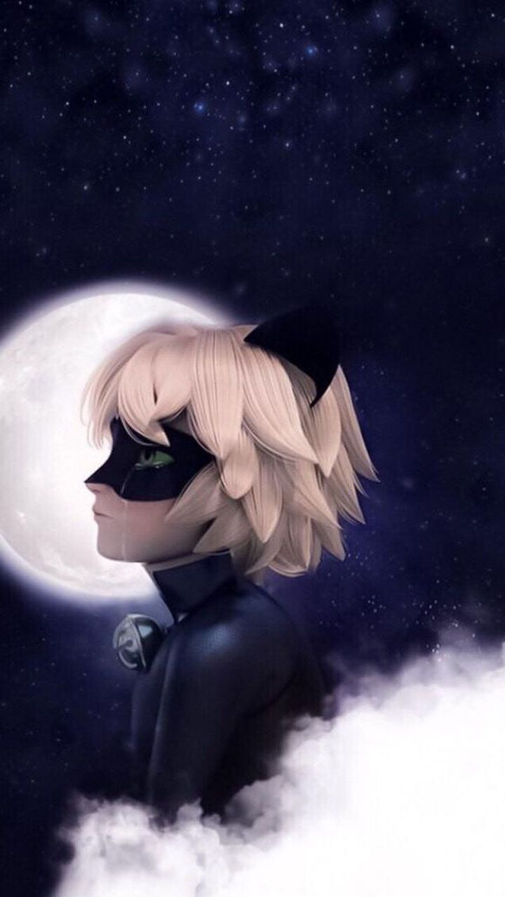 Anime Ladybug And Cat Noir Wallpapers - Wallpaper Cave 087