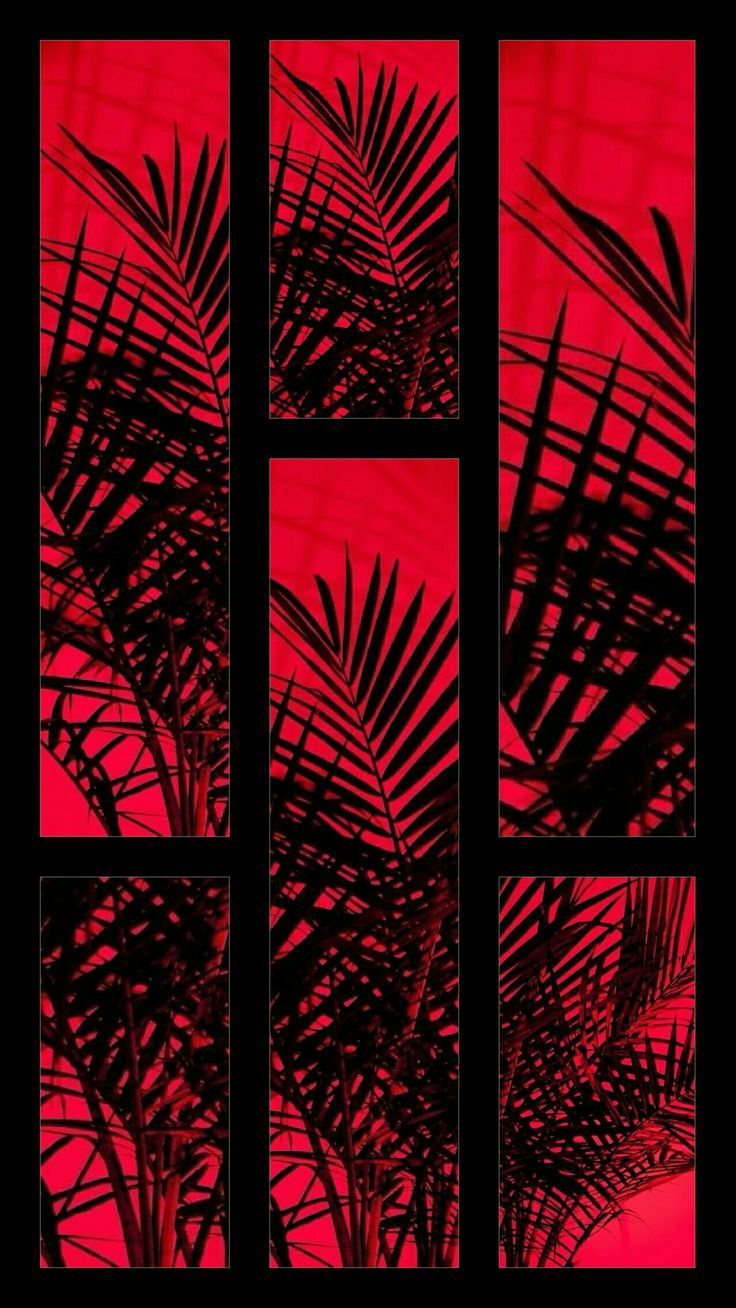 Aesthetic Red And Black Wallpaper iPhone