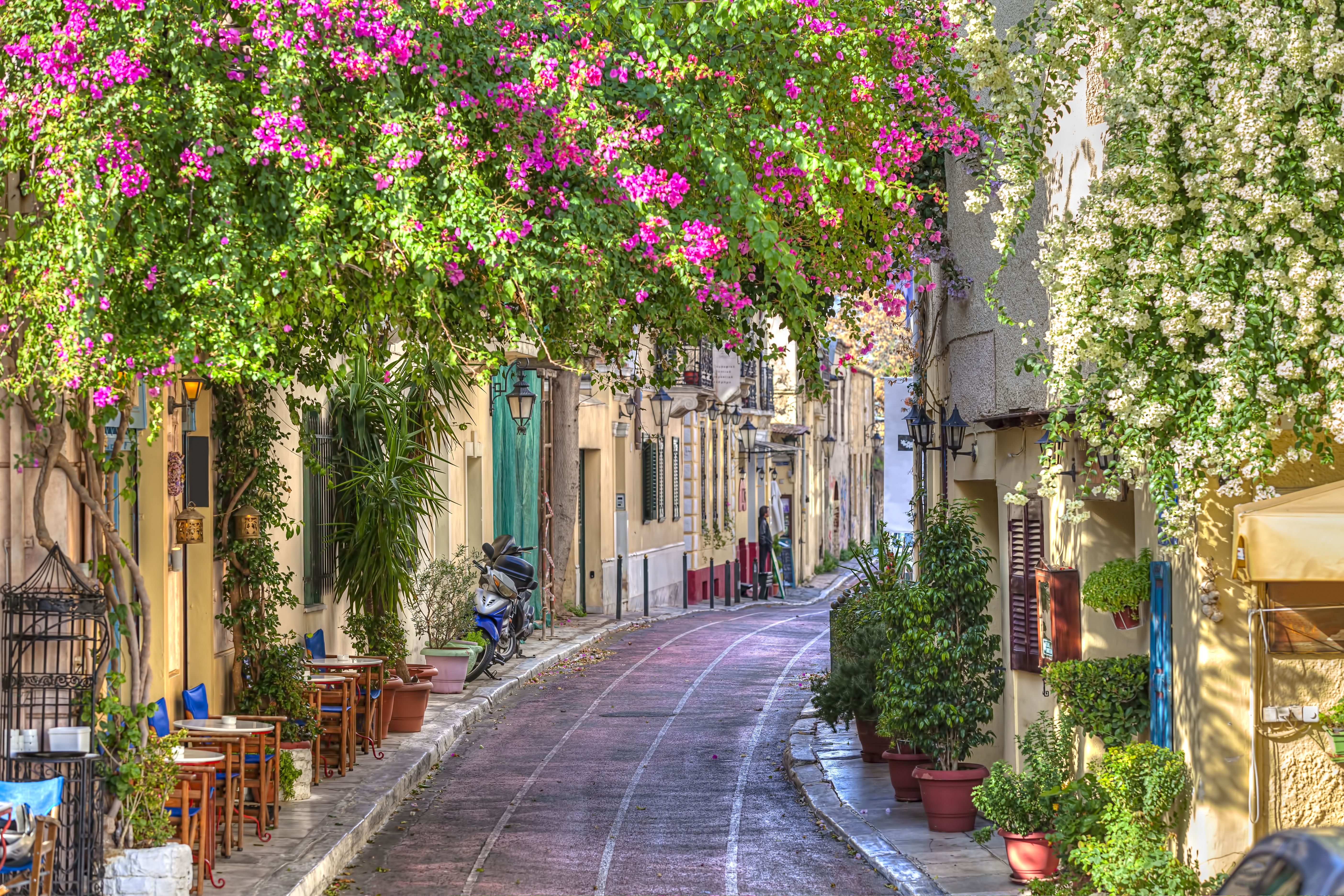 Wallpaper. Spring. photo. picture. Greece, flowers, spring, the city, street