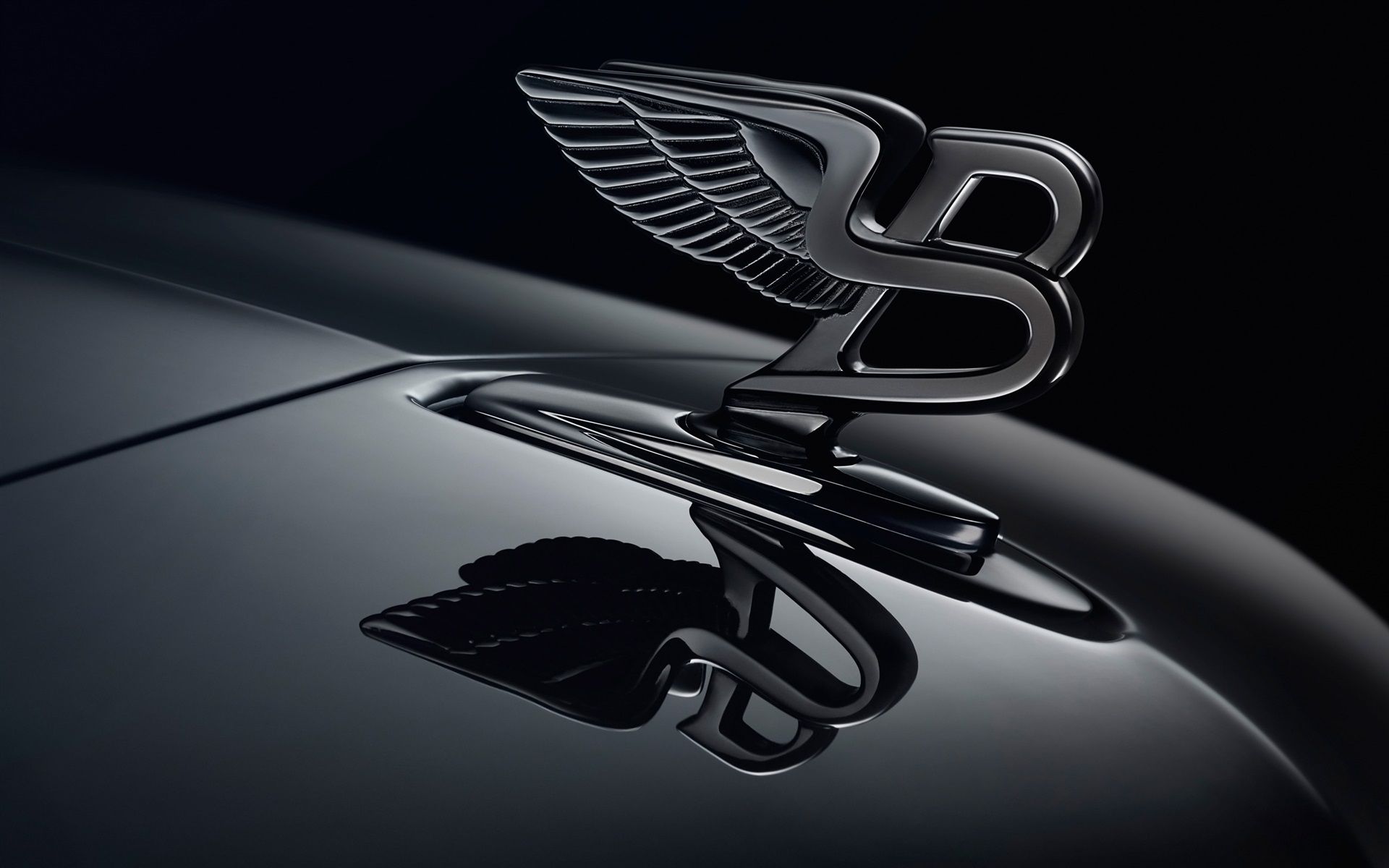 Wallpaper Bentley logo, black background 2560x1600 HD Picture, Image