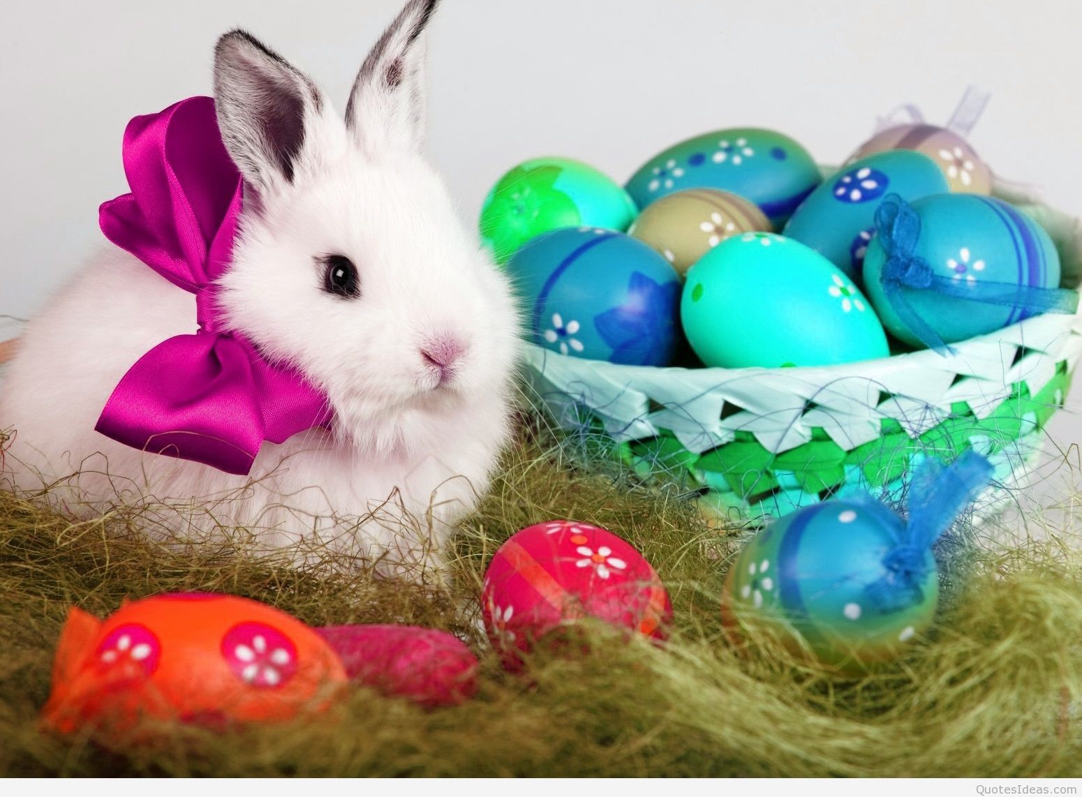 Happy Easter Cute Animals