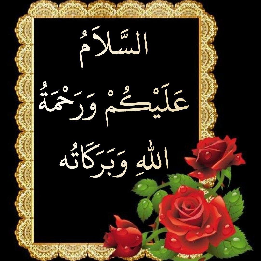 Islamic Assalamualaikum PNG Transparent Assalamualaikum Islamic Lettering  Pink And Green Leaf Assalamualaikum Islamic Moslem PNG Image For Free  Download