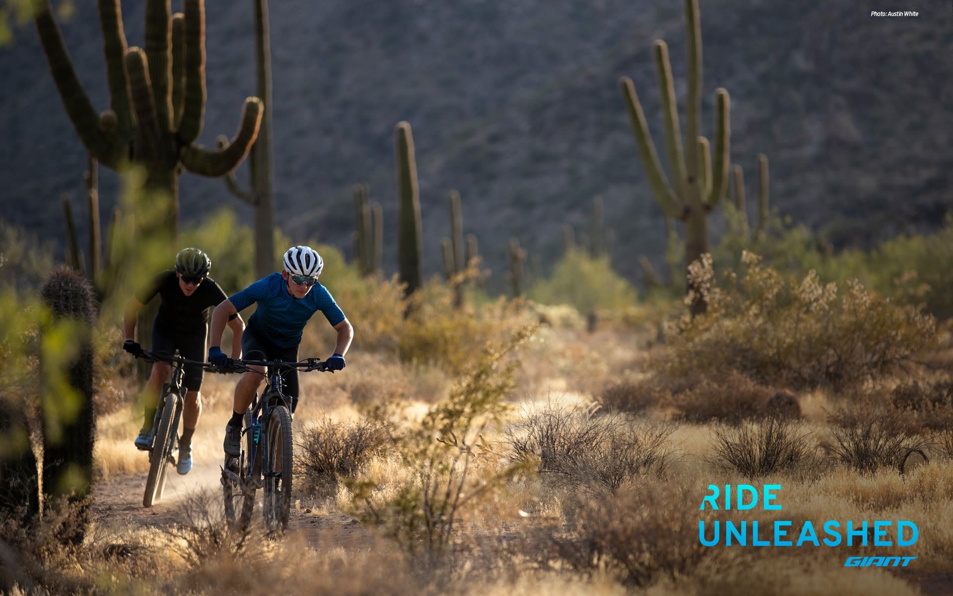 Wallpaper. Giant Bicycles Official site