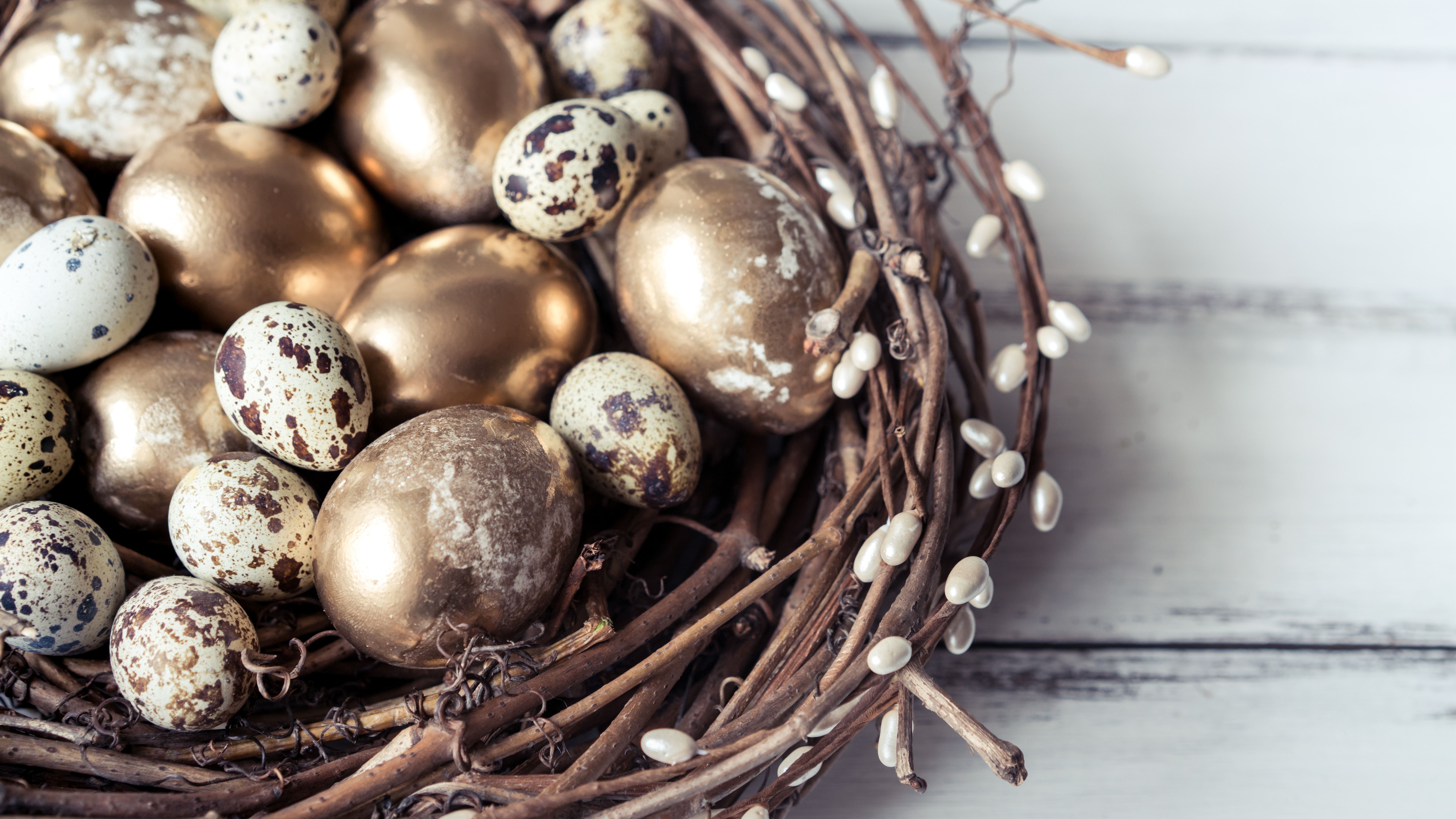 Wallpaper Quail eggs, golden, nest, Easter 7680x4320 UHD 8K Picture, Image