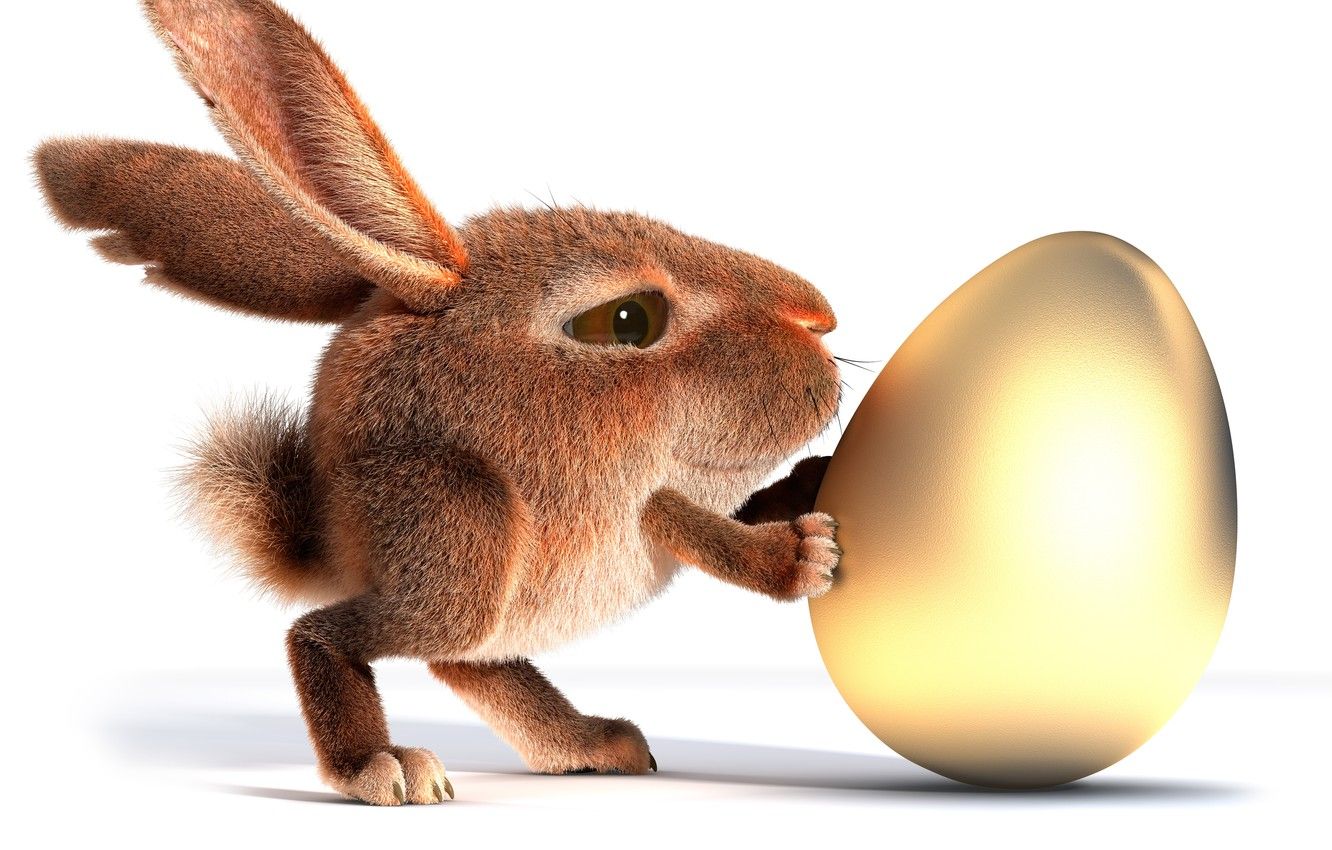 Photo Wallpaper Background, Widescreen, Wallpaper, Bunny With Golden Egg