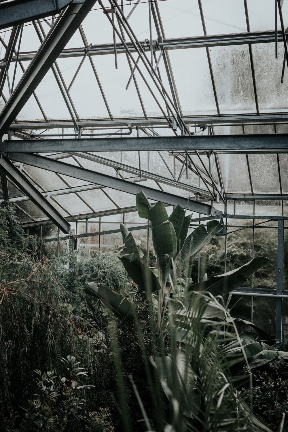 Greenhouse Effect Picture. Download Free Image