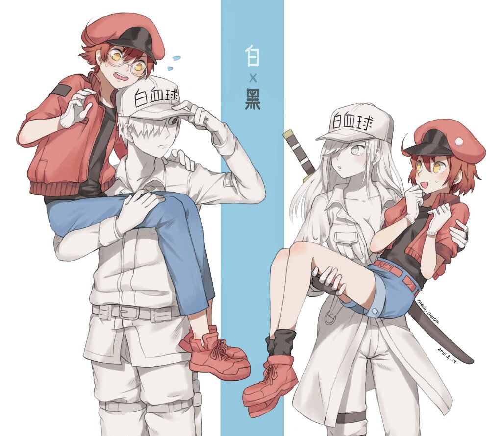 Pin on Cells at work/Hataraku Saibou