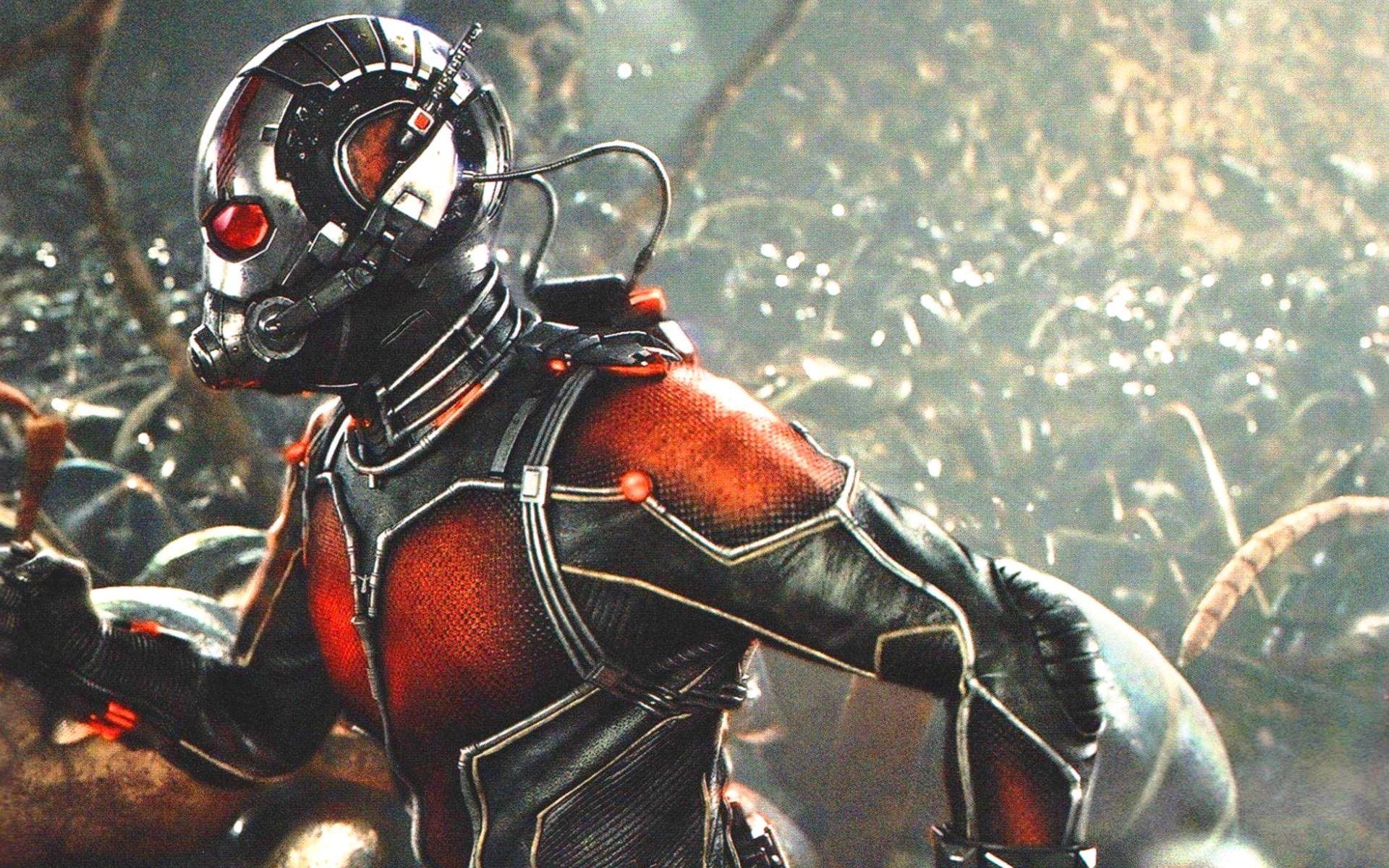 Free Download Marvel Comics Disney Hero 1antman Warrior Ant Man Wallpaper Background [1920x1200] For Your Desktop, Mobile & Tablet. Explore Marvel Ant Man Wallpaper. Marvel Ant Man Wallpaper, Ant Man