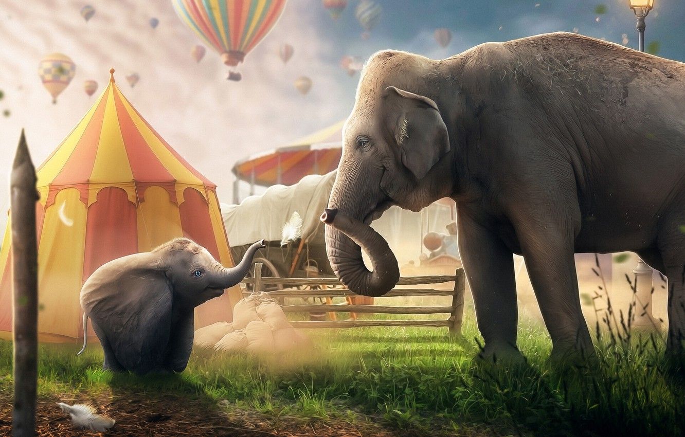 Photo Wallpaper Elephant, Disney, Fantasy, The Film, 2019 HD Wallpaper