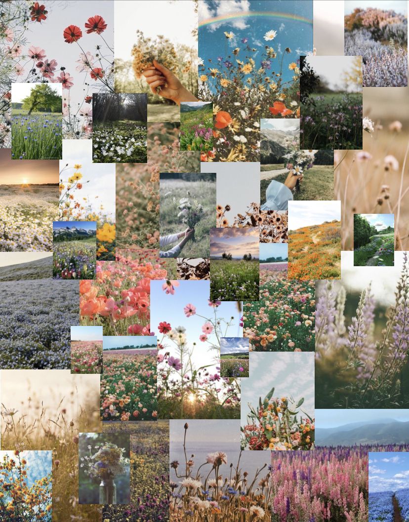 Wildflower collage!