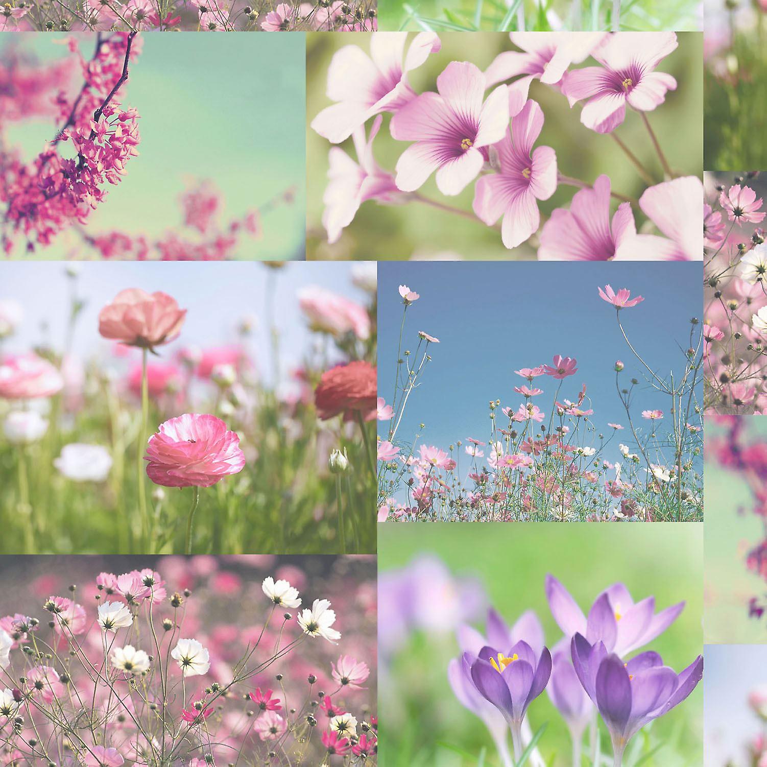 April Wallpaper Heather Pink Floral Flowers Collage Photo Luxury Holden
