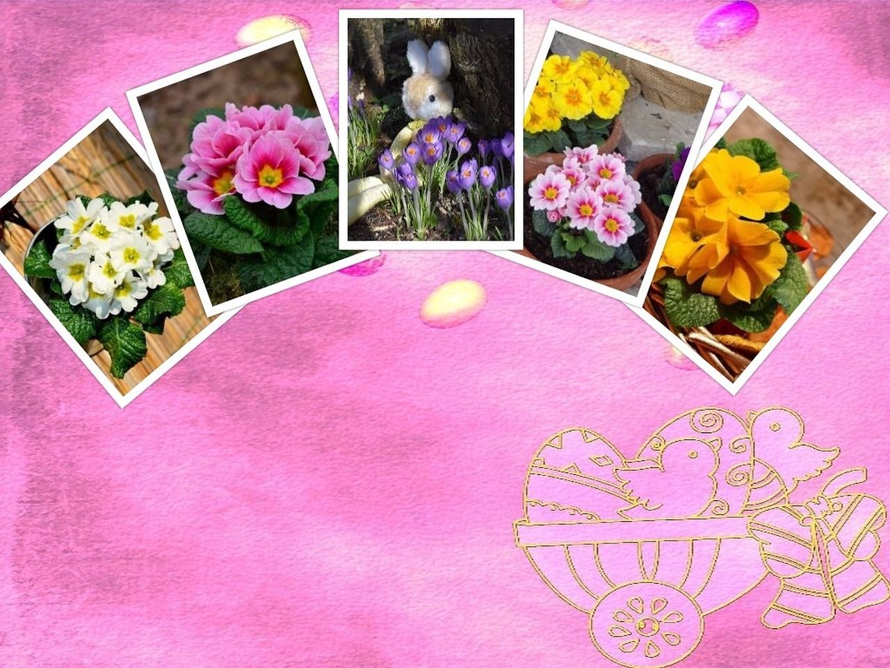 20 Outstanding Spring Wallpaper Collage You Can Use It At No Cost Aesthetic Arena