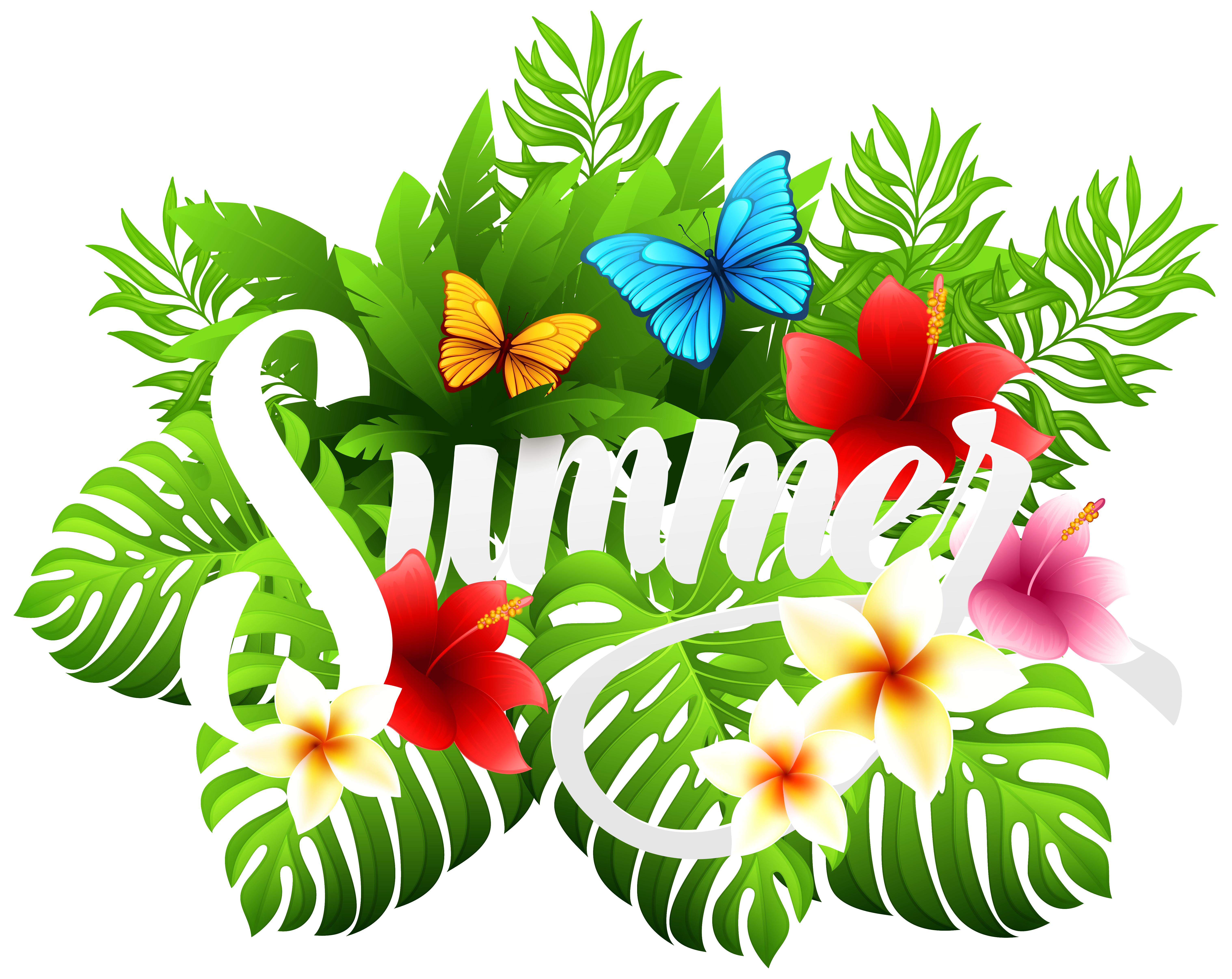 Summer Decorative Image PNG Clipart Quality Image And Transparent PNG Free Clipart