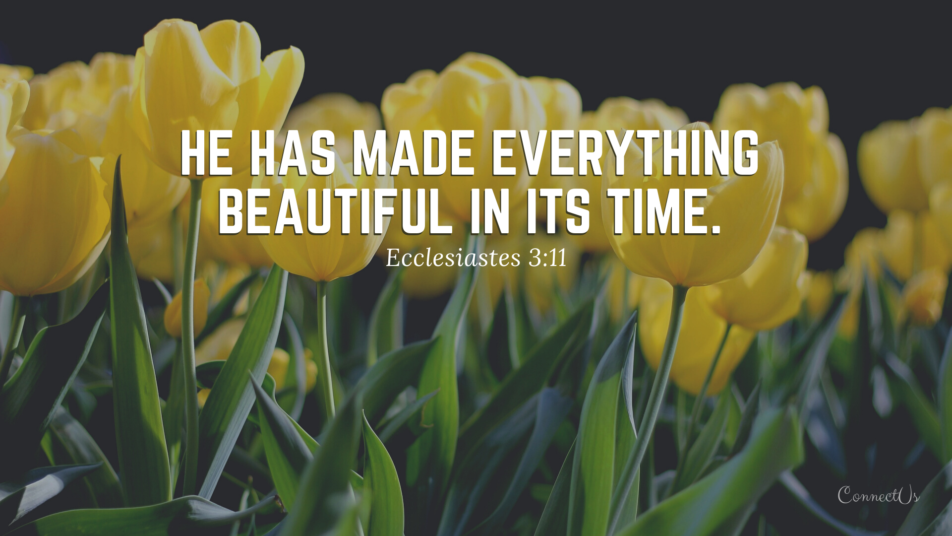Spring Bible Verse Wallpapers Wallpaper Cave