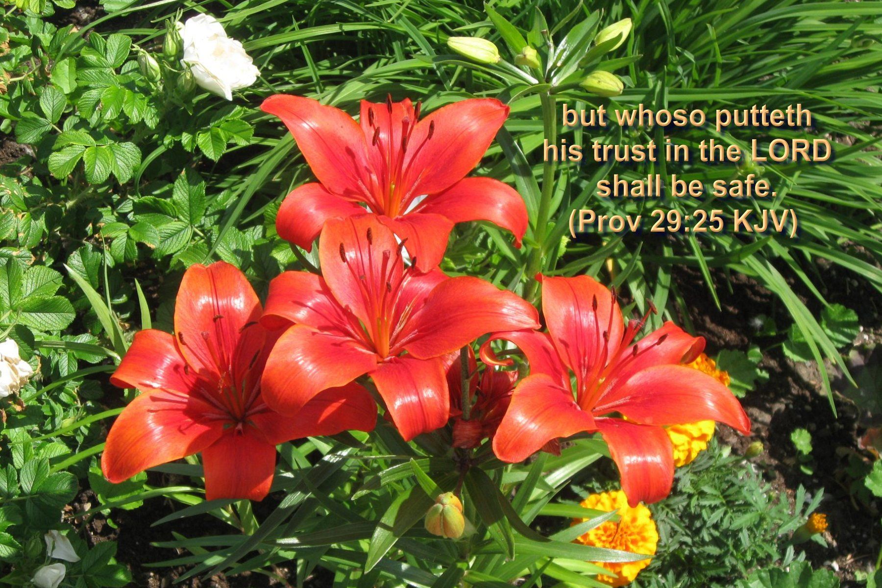 Inspirational easter lilly bible quotes image Mix · easter bunny happy easter image quotes