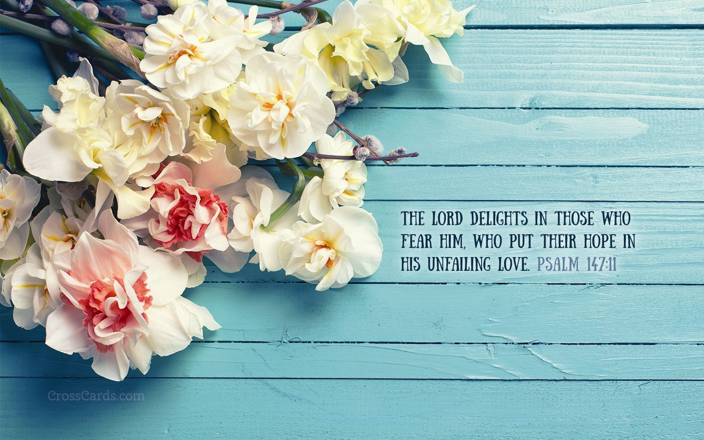 Psalm 147:11 Wallpaper Flowers Desktop Background