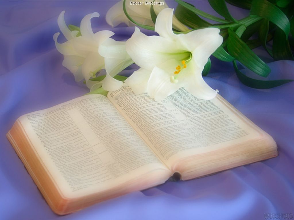 Easter Flowers And Bible Wallpapers - Wallpaper Cave