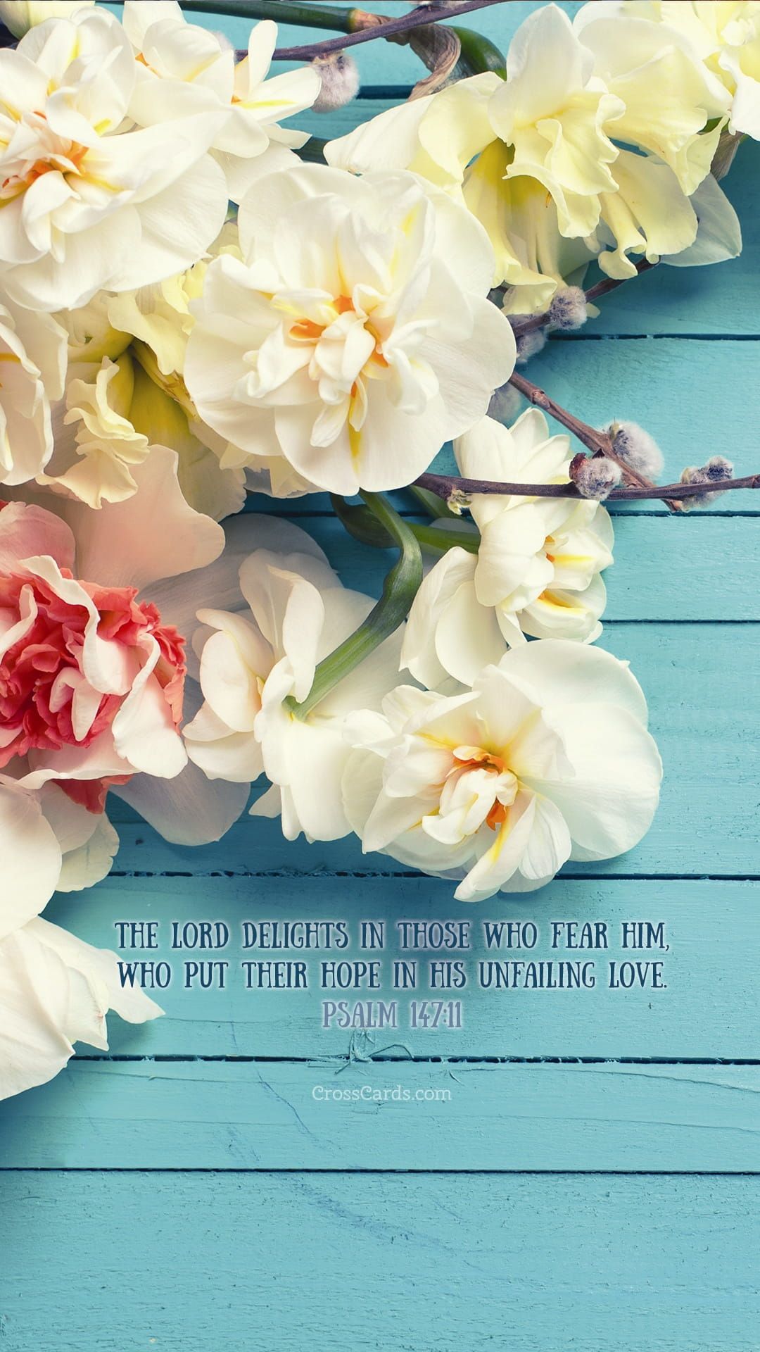 Psalm 147:11 Wallpaper Flowers Desktop Background