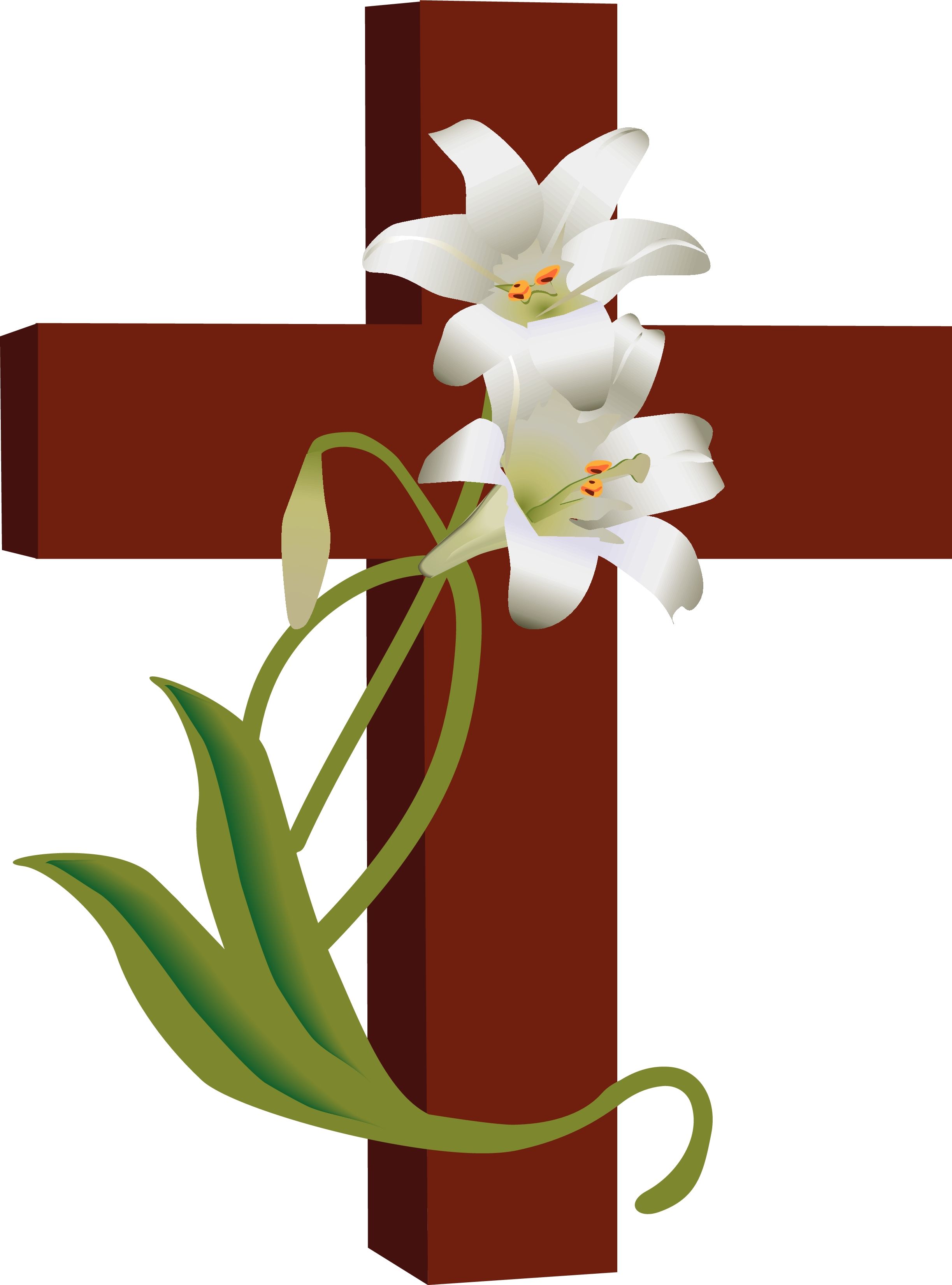Bible Quotes About Lilies. QuotesGram