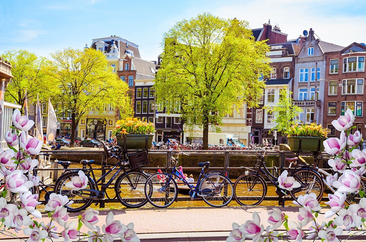 image Amsterdam Netherlands bicycles Spring Cities