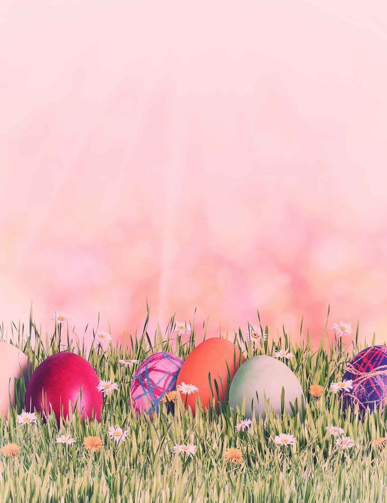 Easter Holiday With Pink Background And Colorful Eggs On The Grass. Easter background, Easter wallpaper, Easter holidays