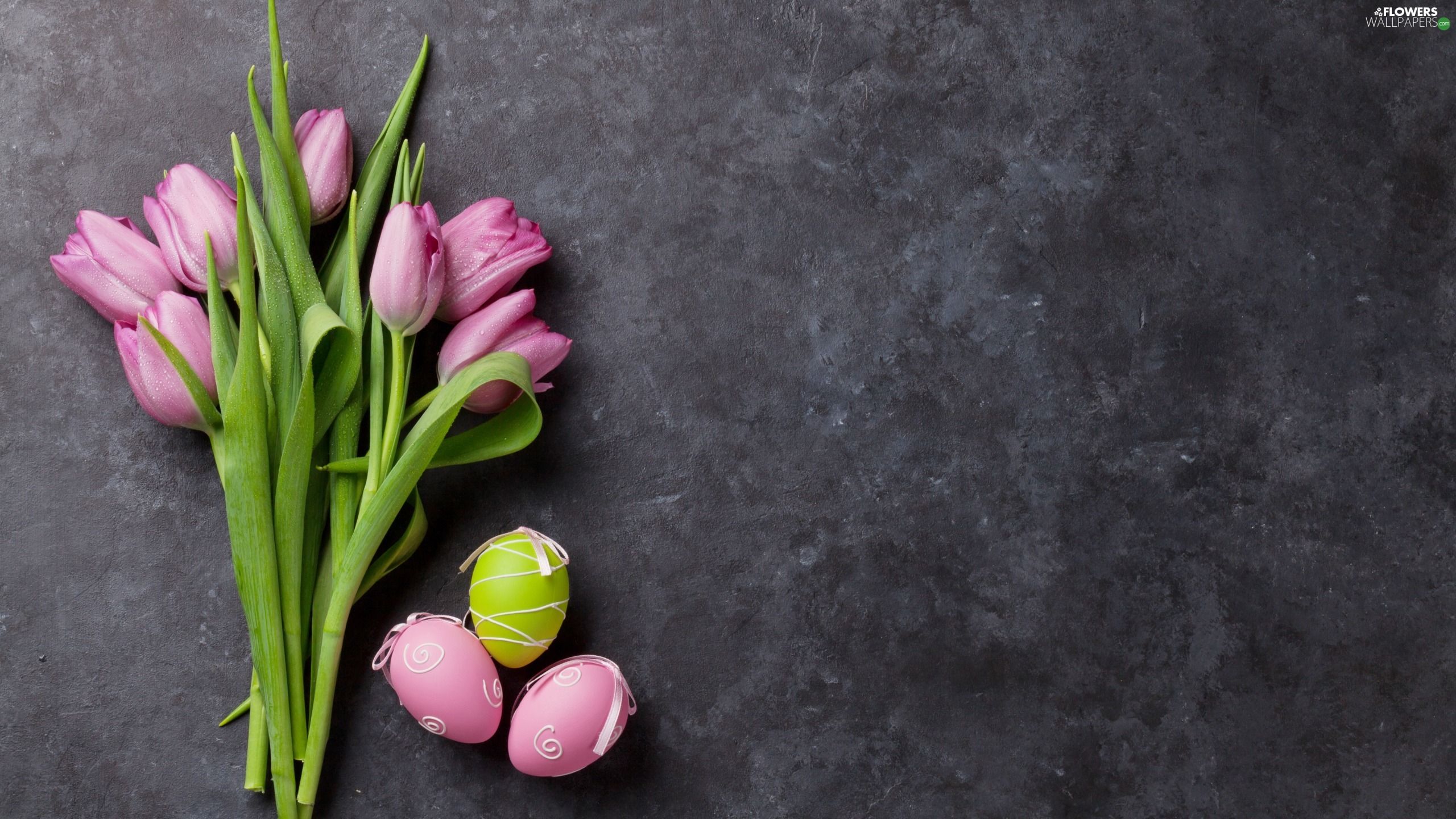 Tulips, Easter, eggs, Grey Background, Three, Pink wallpaper: 2560x1440