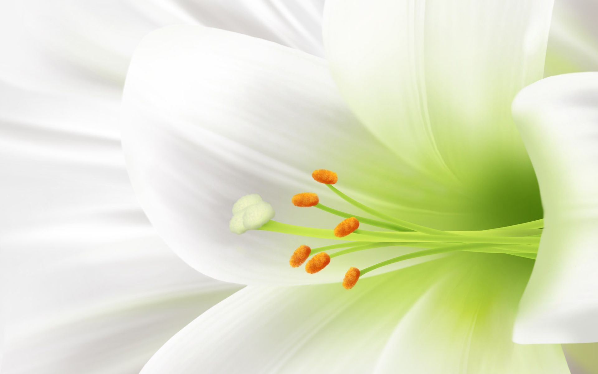 Free Image Of Easter Lilies, Download Free Clip Art, Free Clip Art on Clipart Library