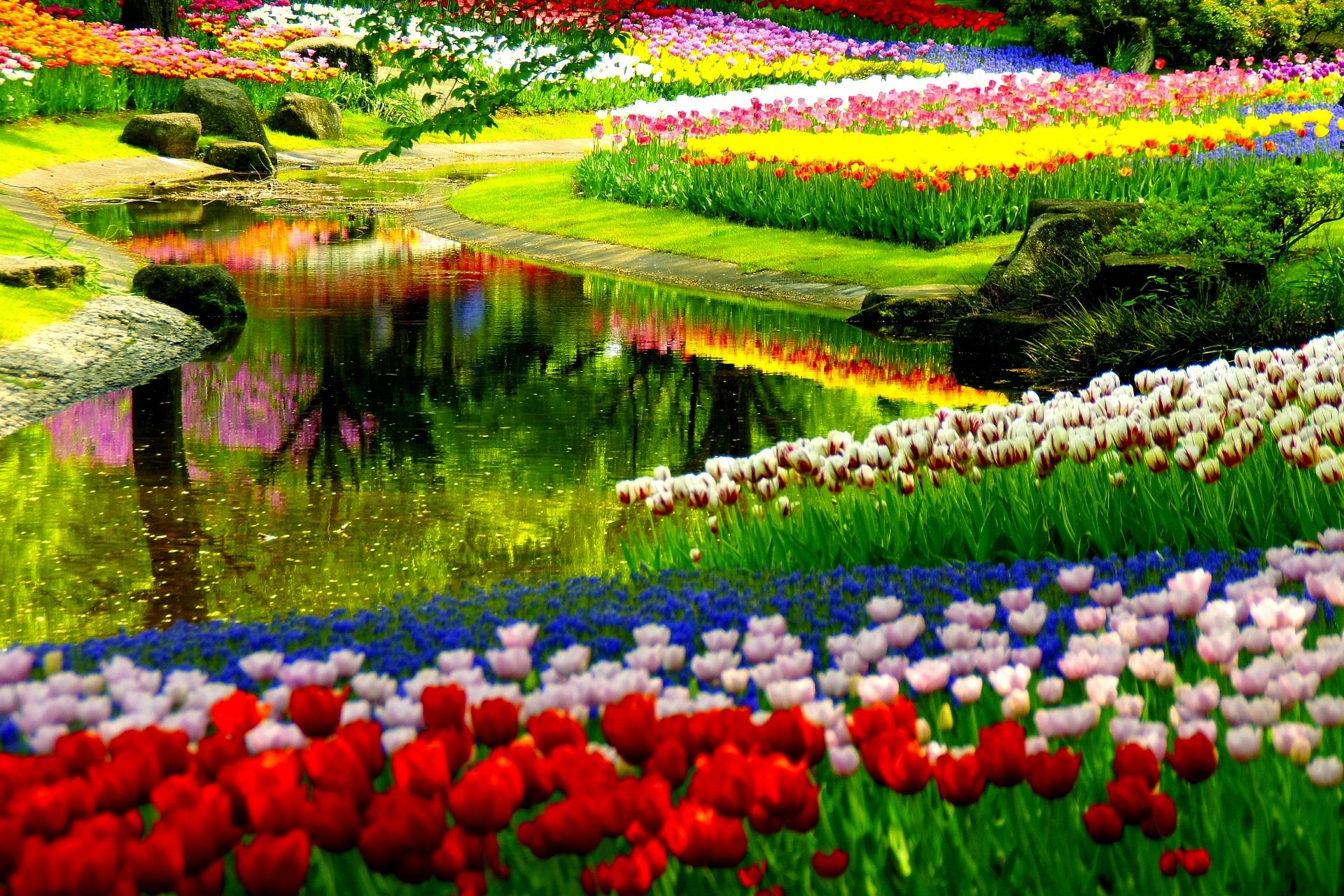 Spring Flower Garden Park Wallpaper