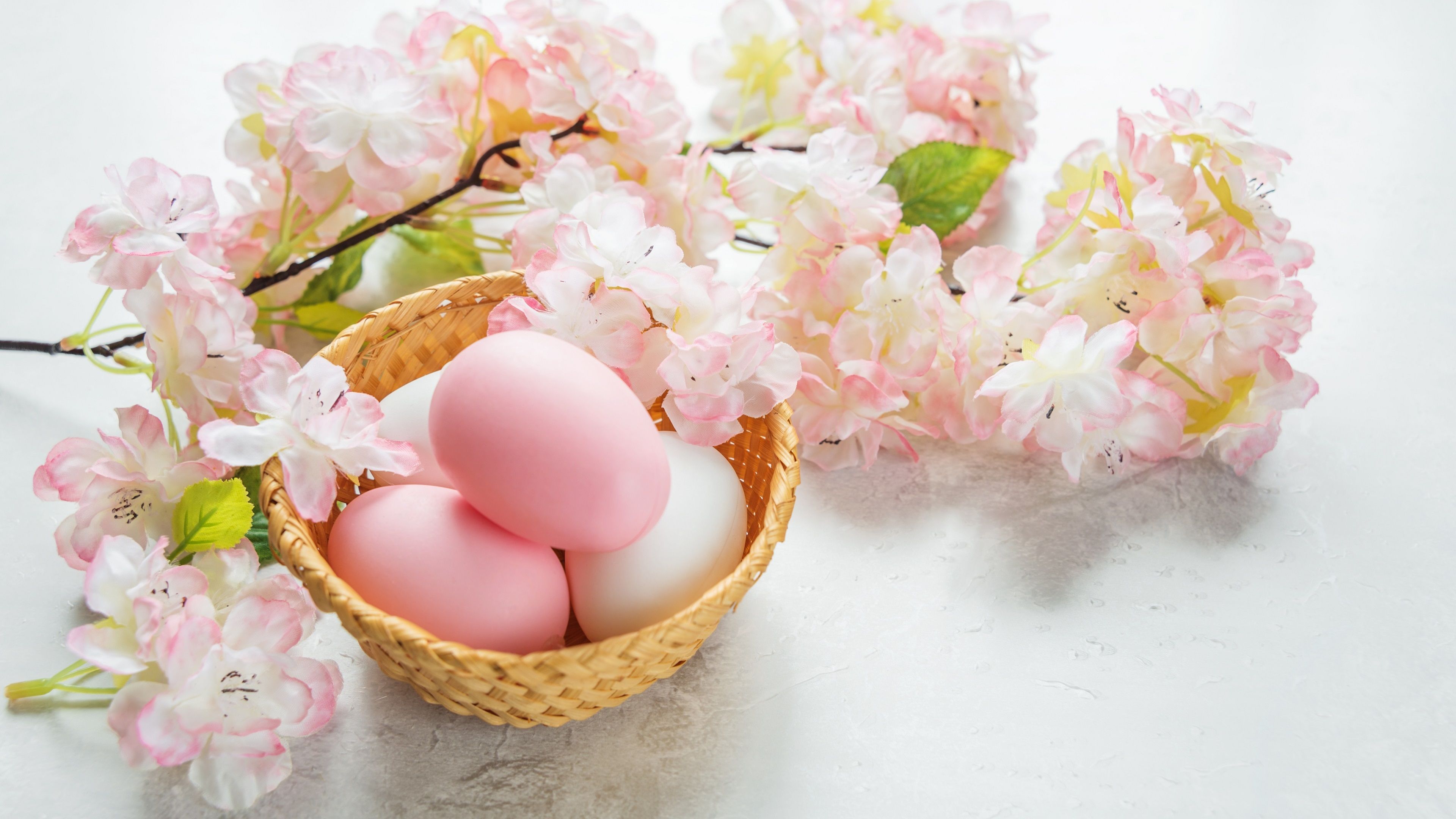 Wallpaper Sakura, pink flowers, eggs, Happy Easter 3840x2160 UHD 4K Picture, Image