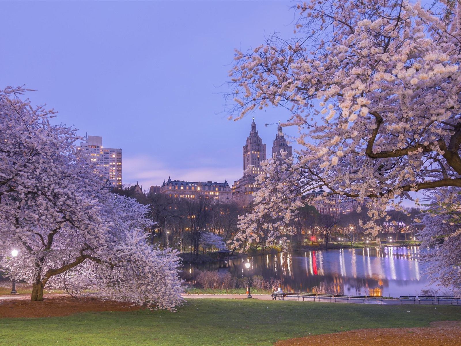 Wallpaper New York, park, sakura bloom, dusk, lake, spring 1920x1200 HD Picture, Image
