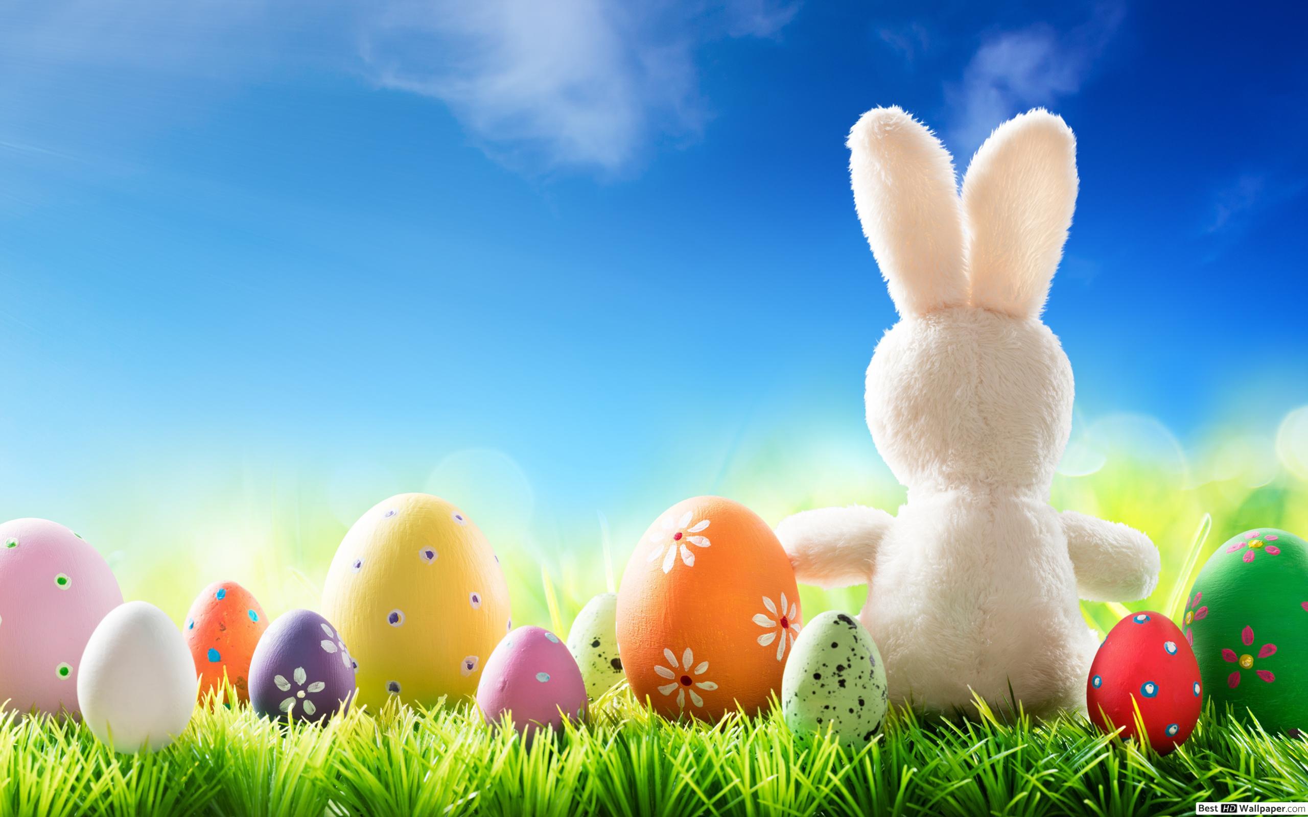 Cute Easter Bunny with Colorful Eggs HD wallpaper download