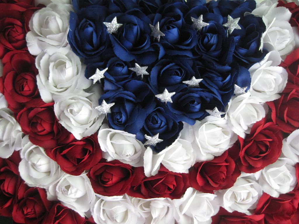 Red White and Blue Flowers Wallpaper Free Red White and Blue Flowers Background