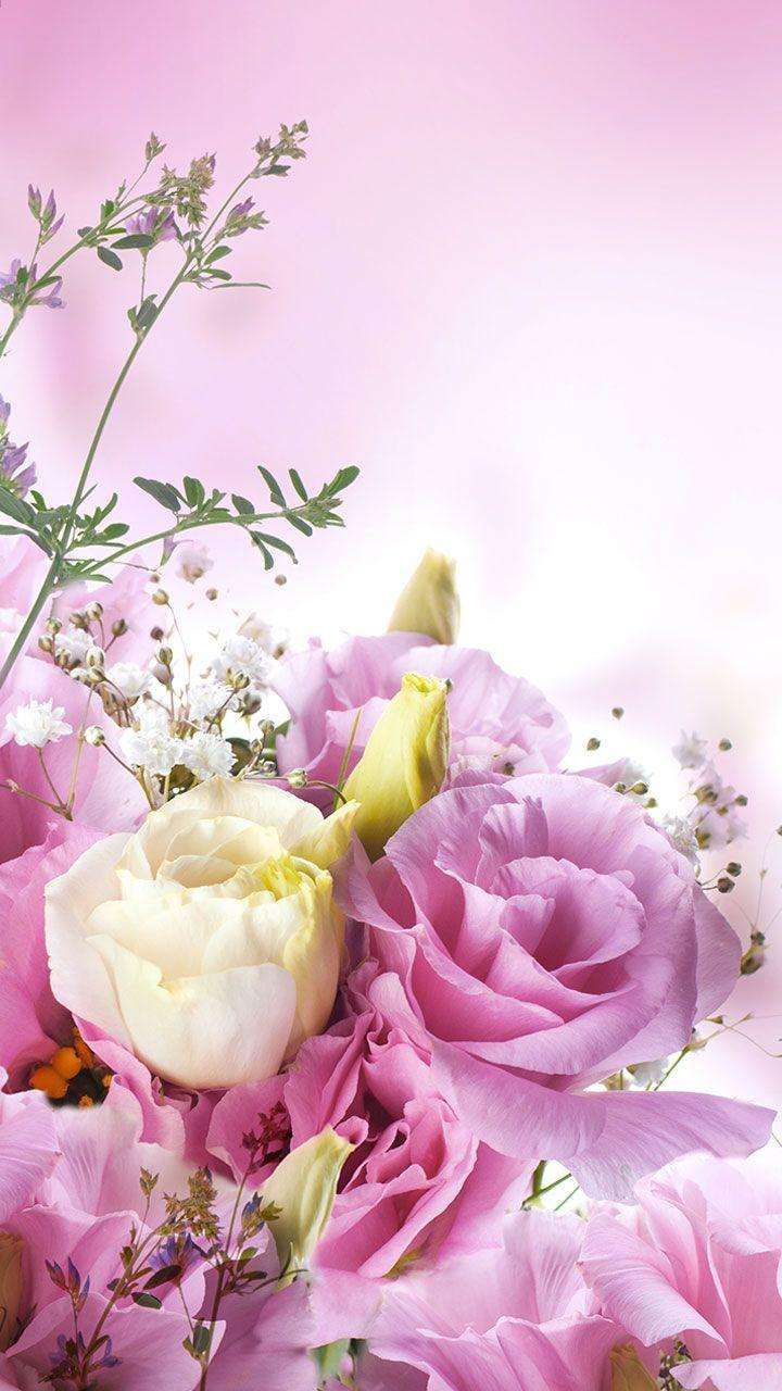 Pink Wallpaper for Android Wallpaper. Live wallpaper, Flowers, Android wallpaper