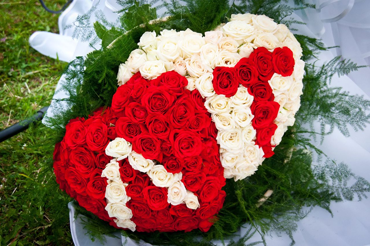 Wallpaper Valentine's Day Heart Red rose White flower