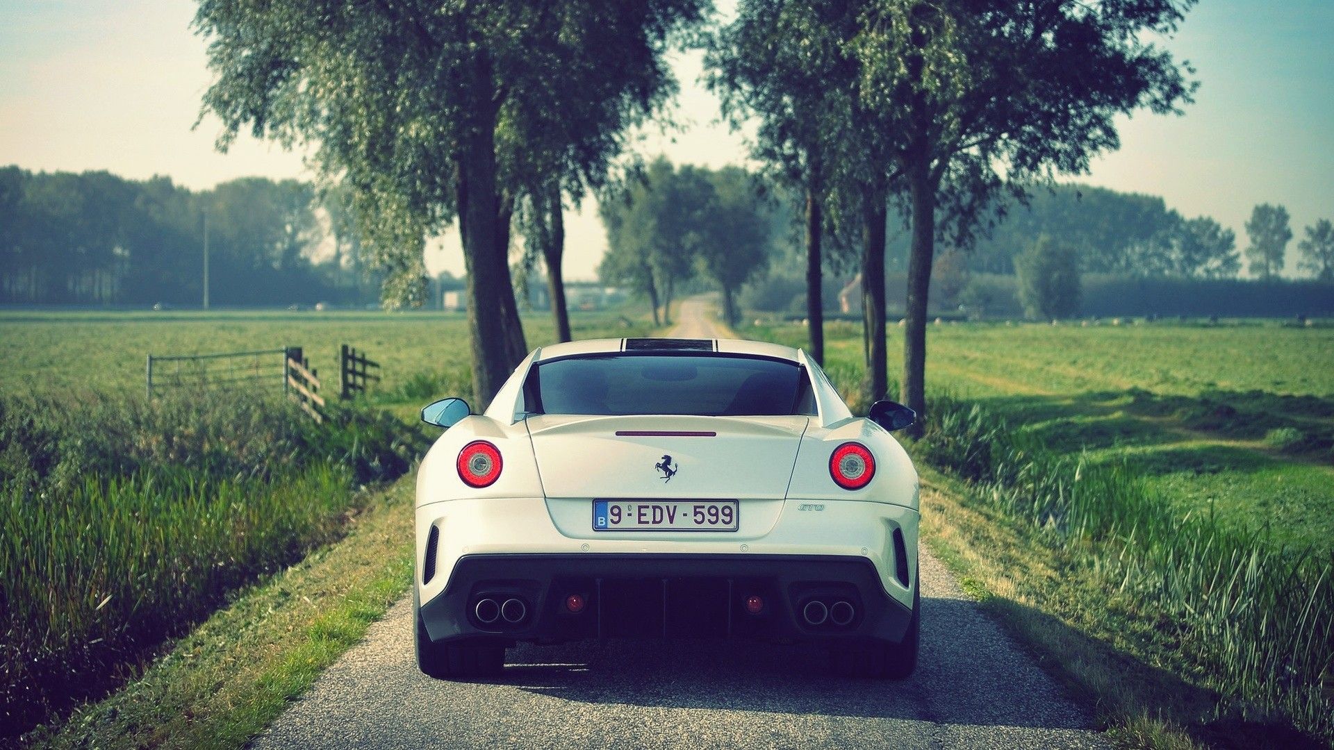 streets, cars, Ferrari, farms, Ferrari 599 GTO, Ferrari GTO wallpaper
