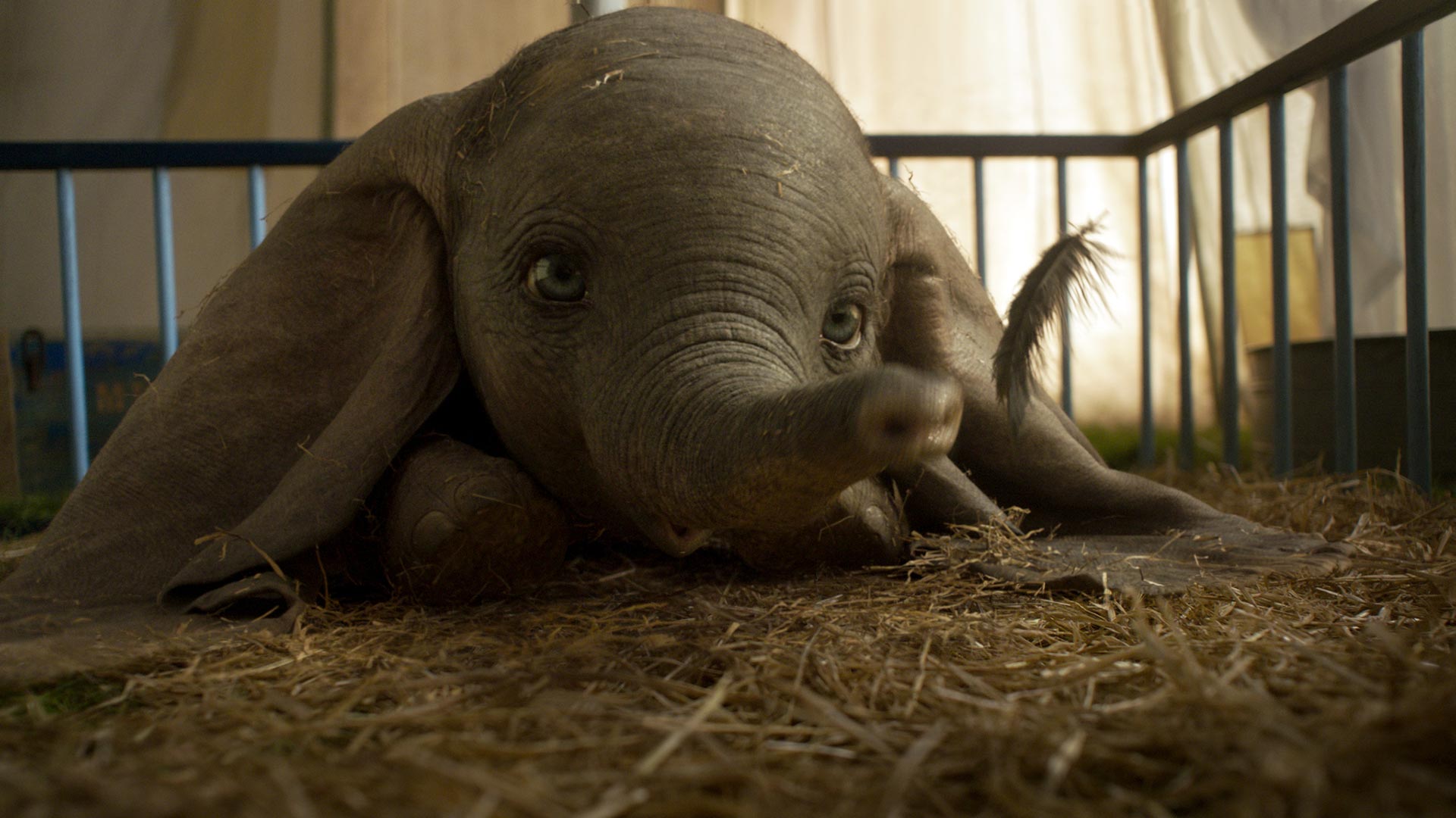 Movie Review: 'Dumbo'