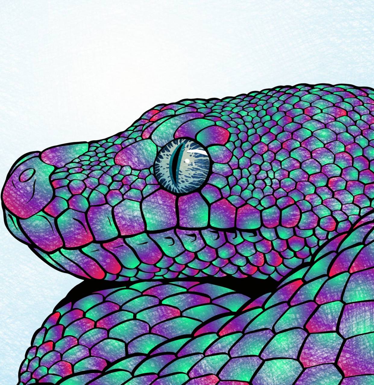 snake wallpaper