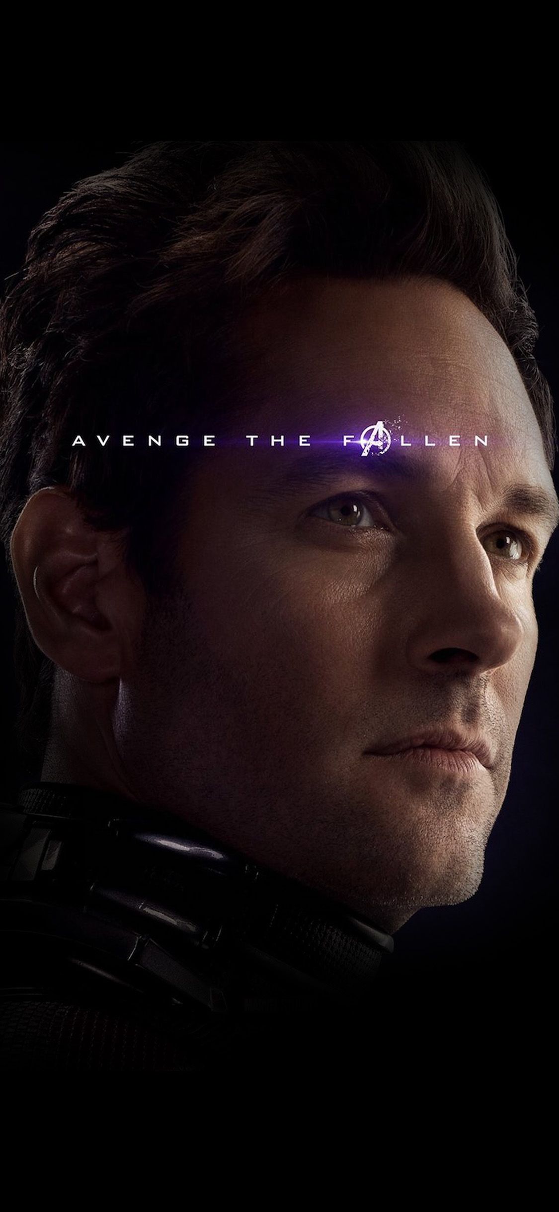 Hero Avengers Endgame Film Antman