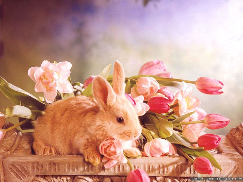 Picasa Pics Store: Free Happy and Cute Easter wallpaper