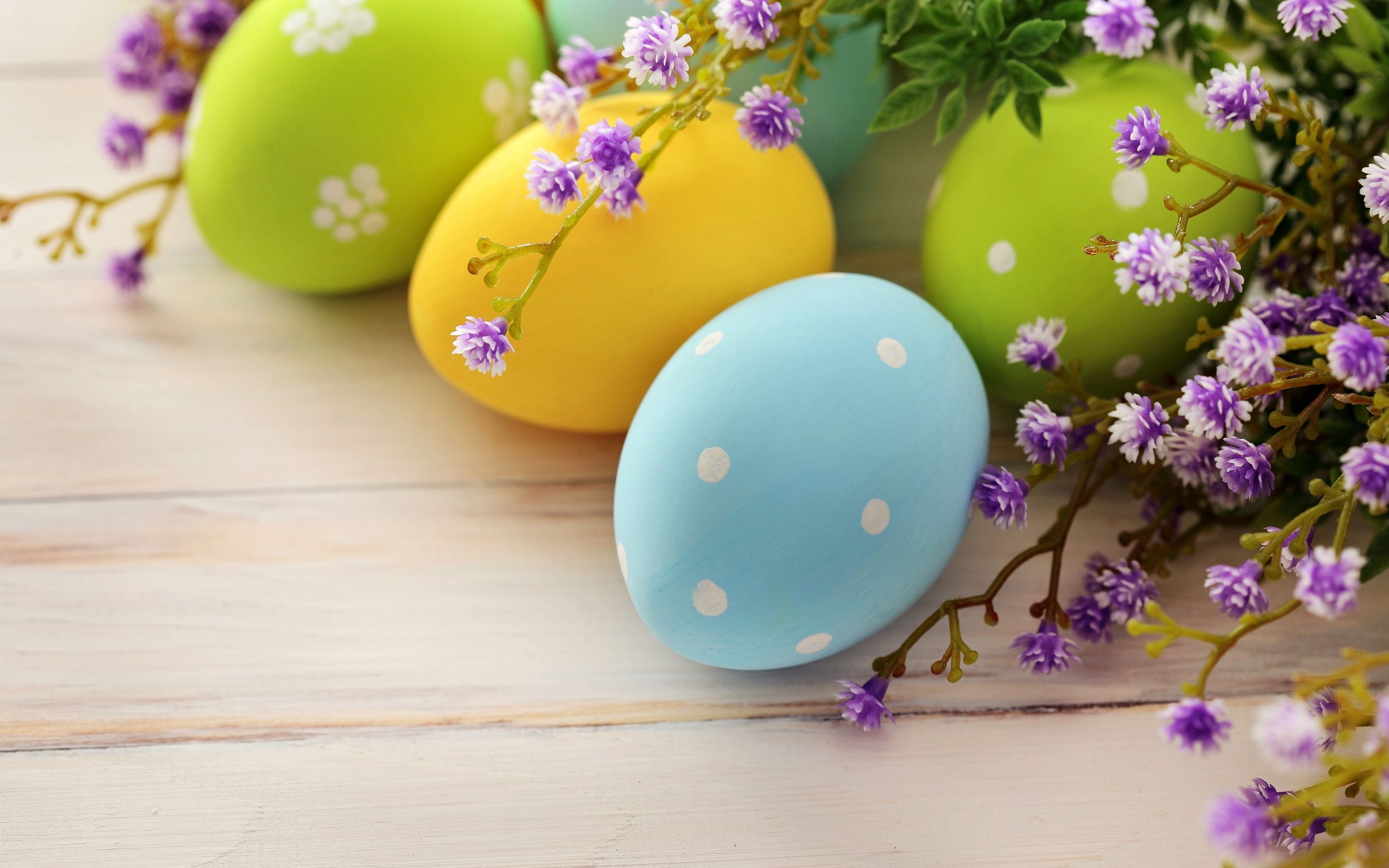 Beautiful Easter Eggs Wallpaper 44336 2880x1800px