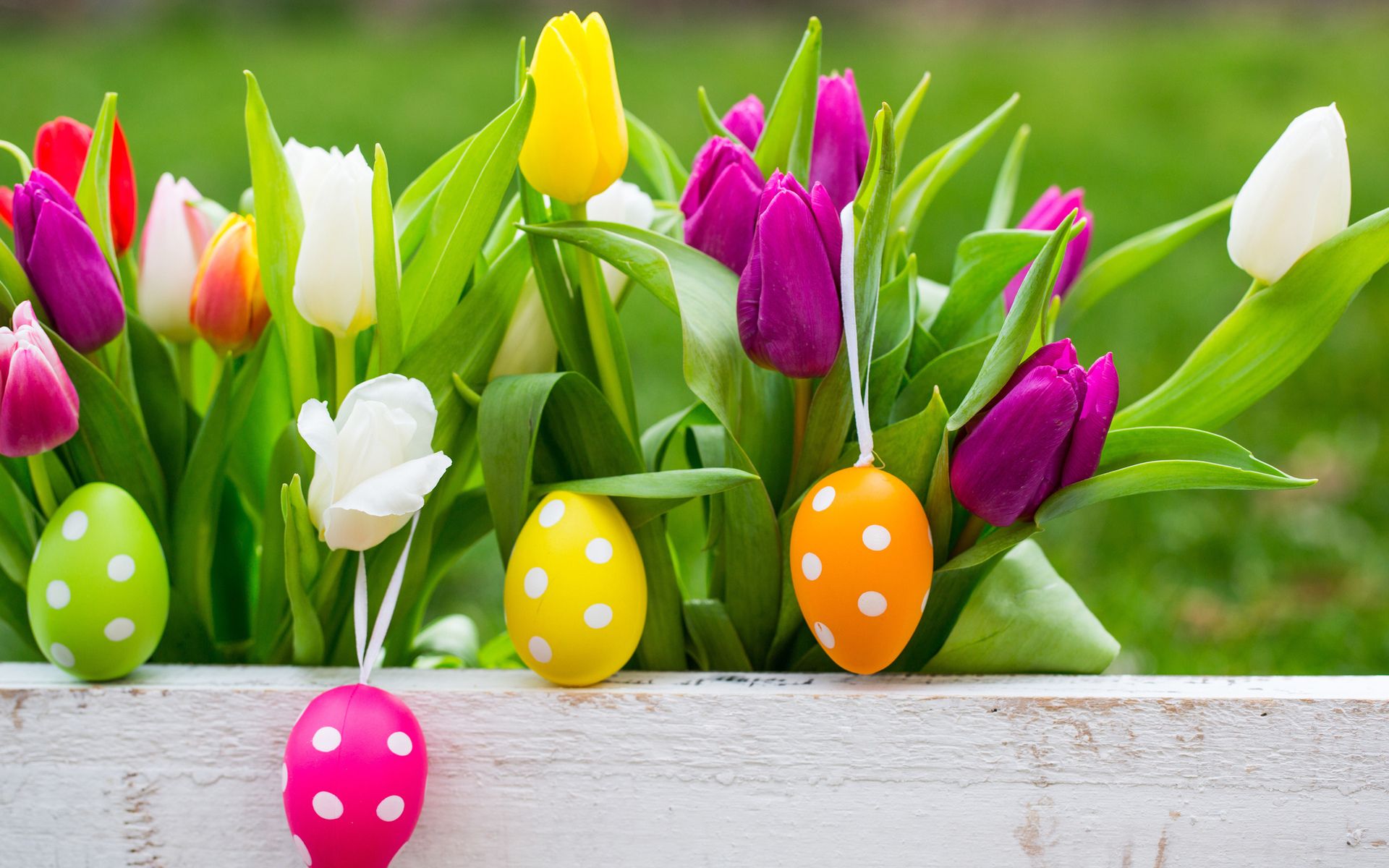 Beautiful Easter HD wallpaper. Find HD Wallpaper