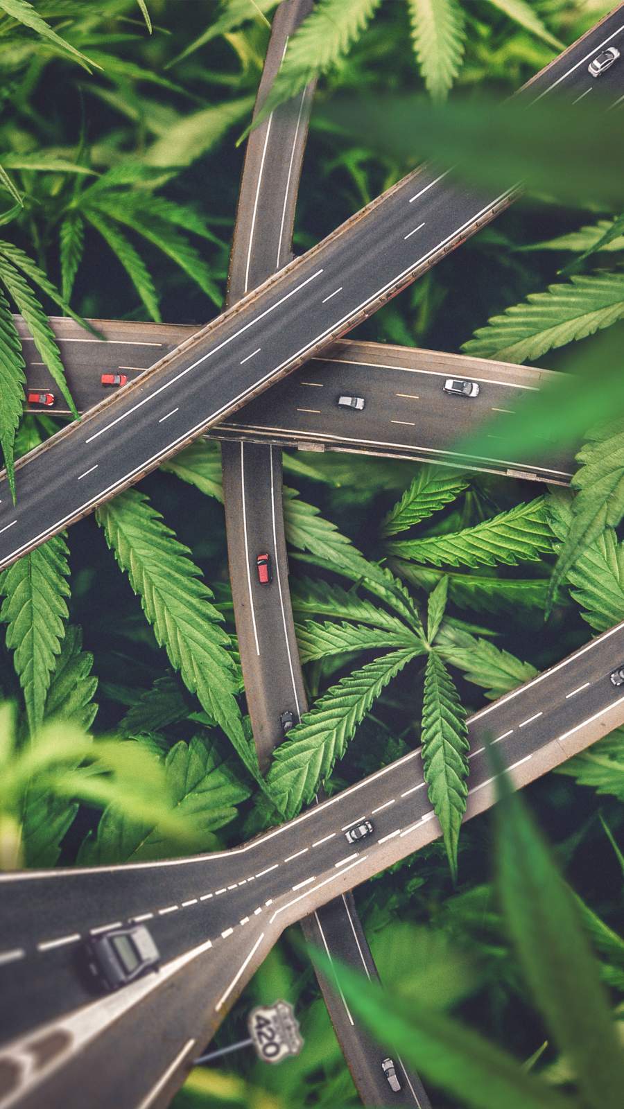 Weed Route iPhone Wallpaper Wallpaper, iPhone Wallpaper