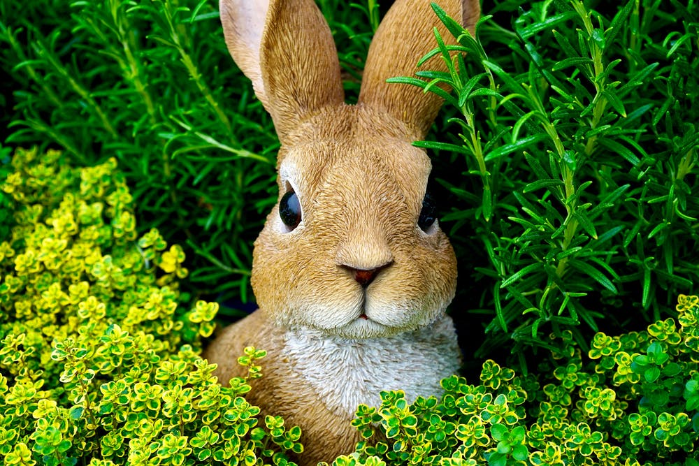 Happy Easter bunny wallpaper