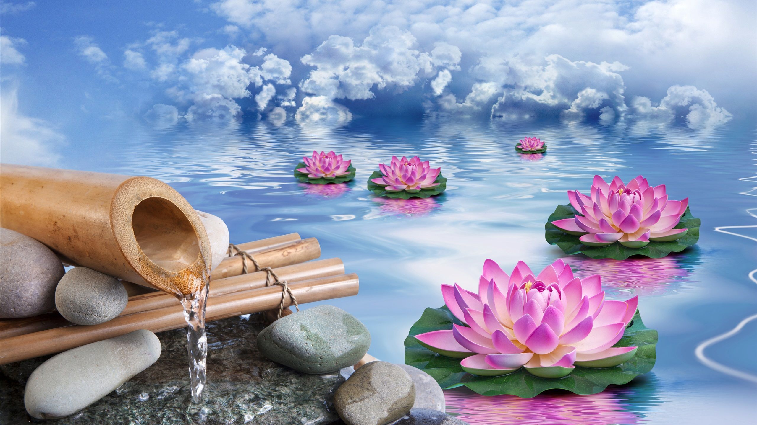 Zen Lotus Flower Wallpaper HD