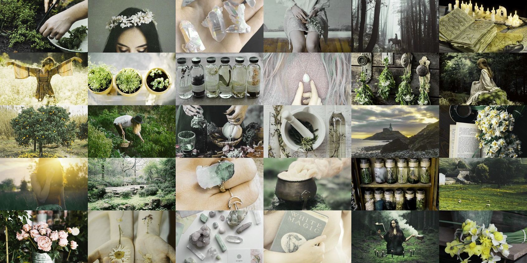 Spring aesthetic collage. Spring aesthetic, Spring desktop wallpaper, Aesthetic collage