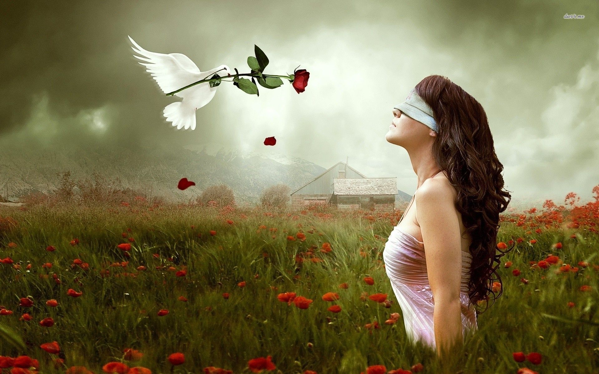 Faith Walk. For God's Glory Alone Ministries